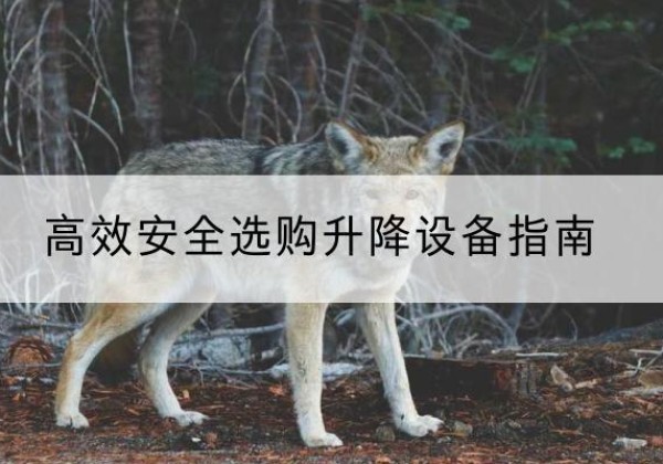 郑州升降货梯厂家推荐-*安全选购升降设备指南