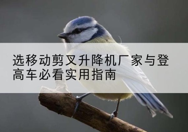 郑州电动升降机厂家-选移动剪叉升降机厂家与登高车必看实用指南