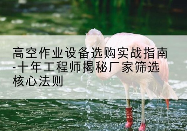 郑州剪叉式升降机厂家-高空作业设备选购实战指南-十年工程师揭秘厂家筛选核心法则